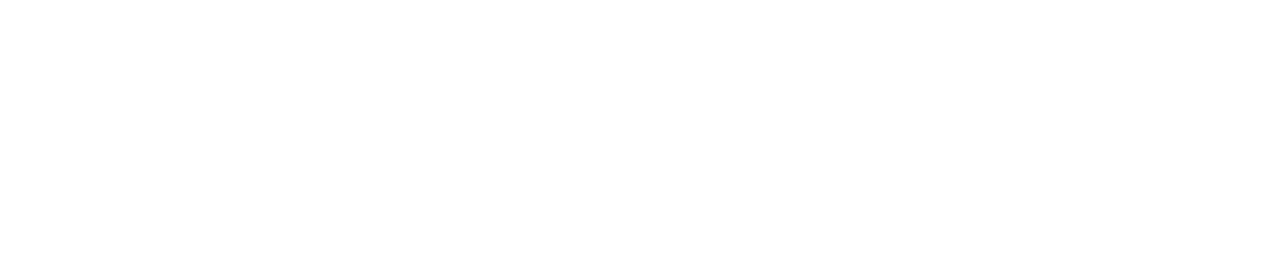 IMP logo white